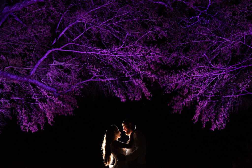 Bride and groom pose under a purple tree